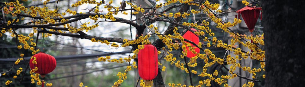Cổng Cửa Lý Thế Lan